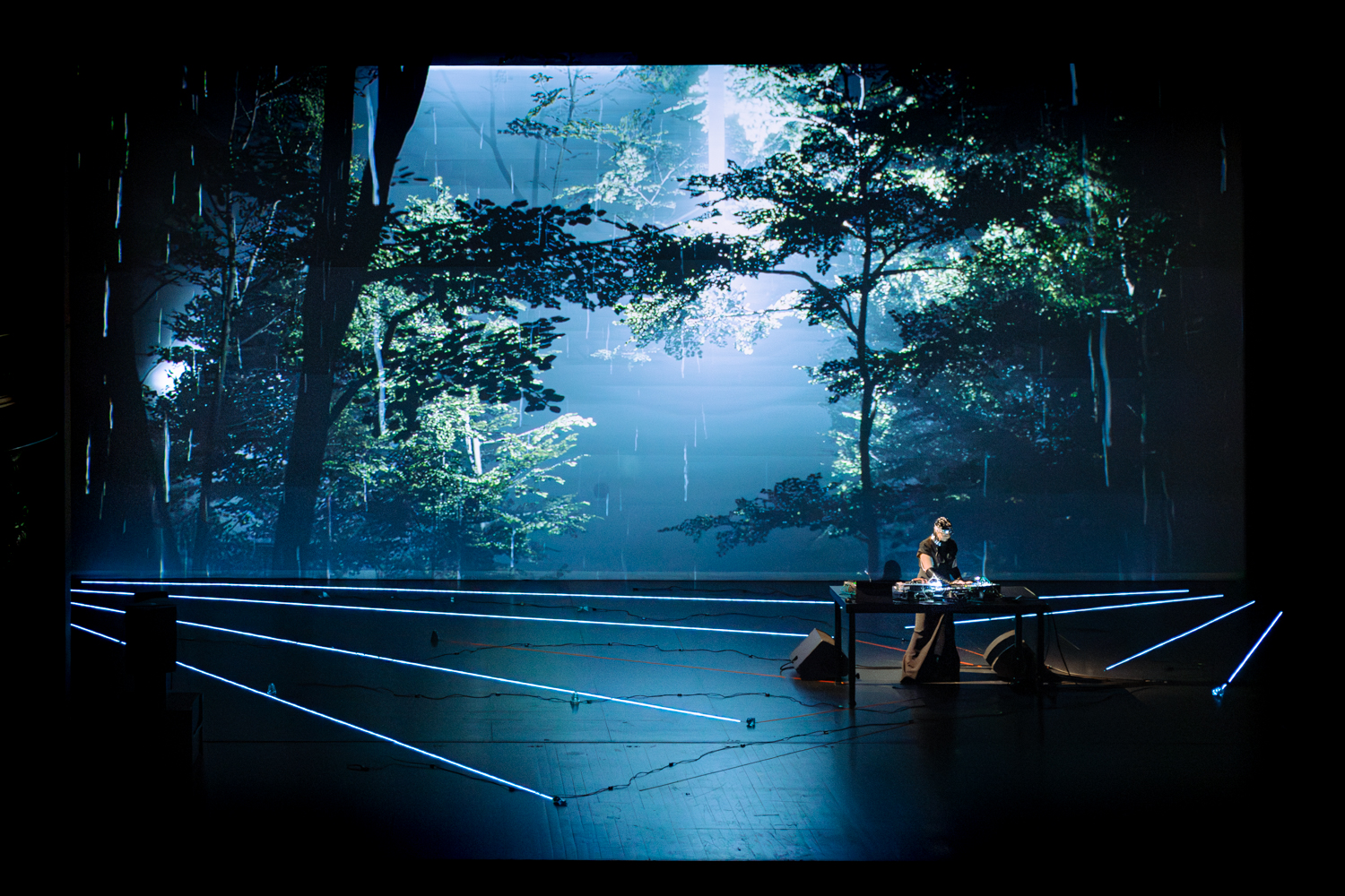 Función Audiovisual "Ars Natura, Annabelle Playe et Hugo Arcier, performance audiovisuelle".
