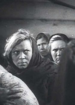 Cinéfilo de los fuertes
